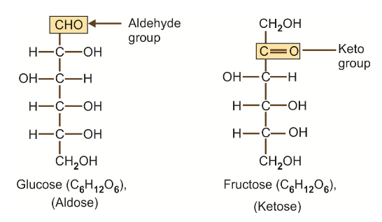 Ketose-Aldose isomerism. Chemistry of Carbohydrates.